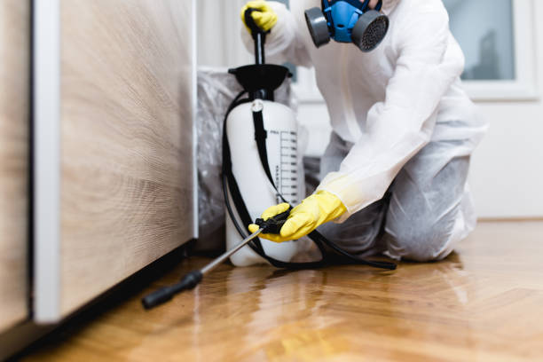 Best Best Pest Control Companies  in Vado, NM