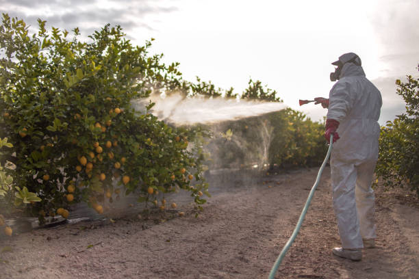Best Affordable Pest Control Services  in Vado, NM
