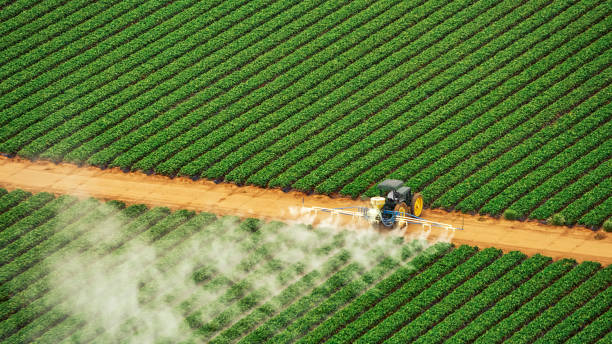 Best Pest Prevention Services  in Vado, NM